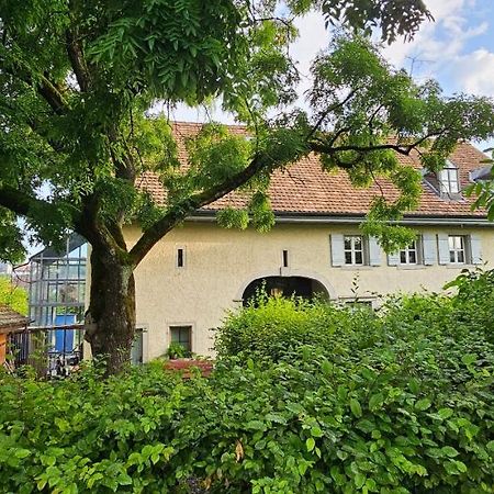 Blue Wall Bnb Gebenstorf ภายนอก รูปภาพ