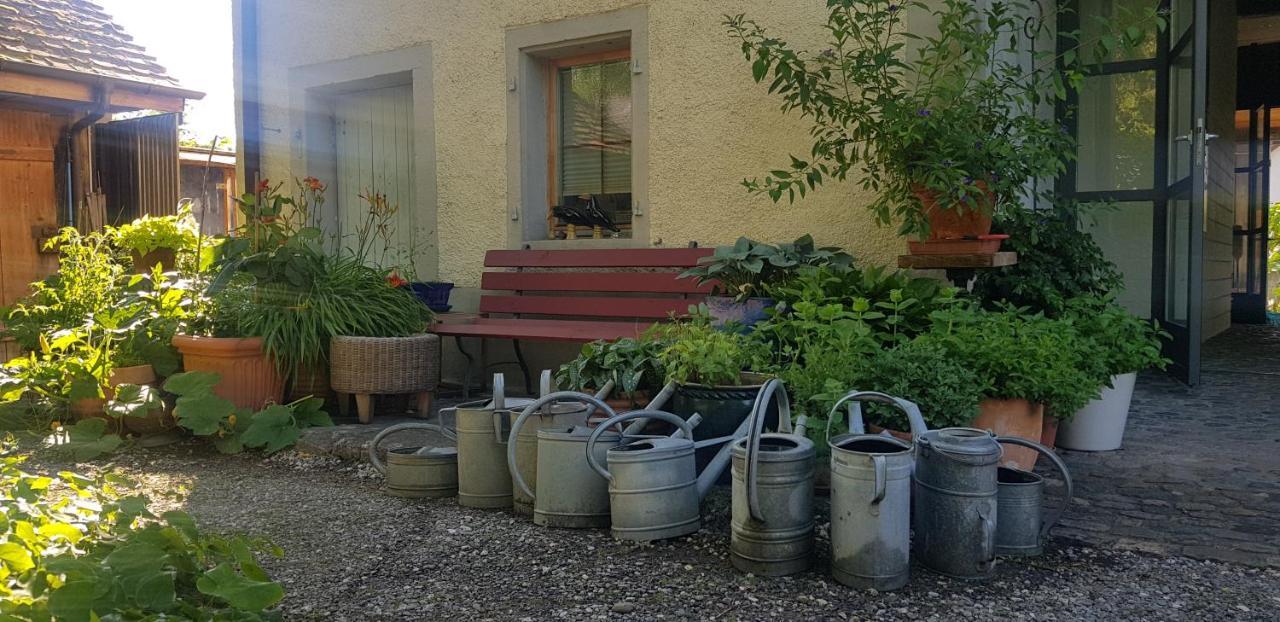 Blue Wall Bnb Gebenstorf ภายนอก รูปภาพ