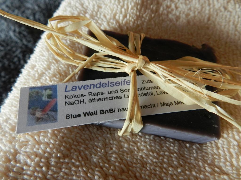 Blue Wall Bnb Gebenstorf ภายนอก รูปภาพ